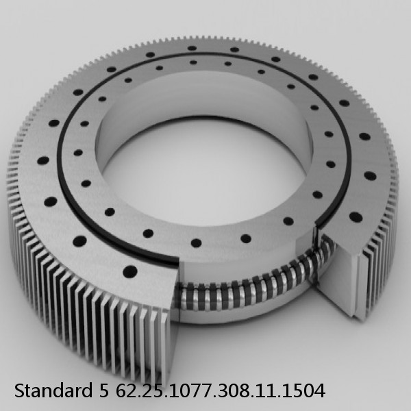 62.25.1077.308.11.1504 Standard 5 Slewing Ring Bearings