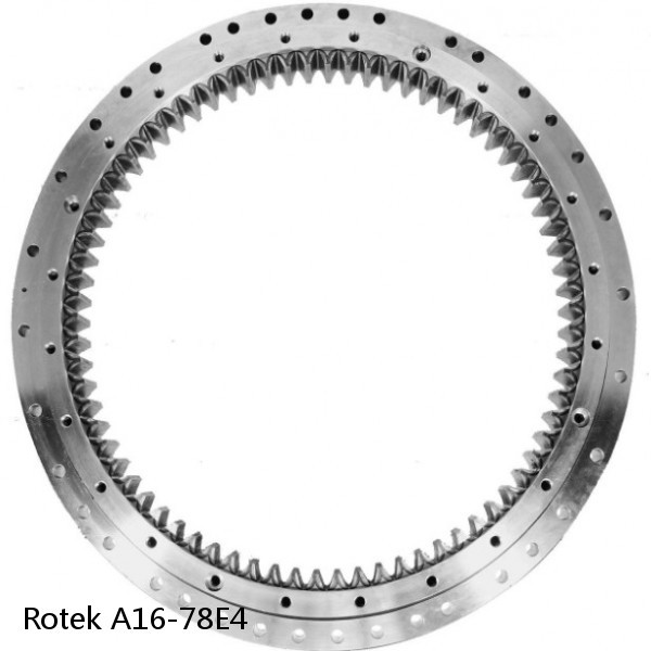 A16-78E4 Rotek Slewing Ring Bearings #1 small image