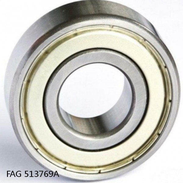 513769A FAG Cylindrical Roller Bearings
