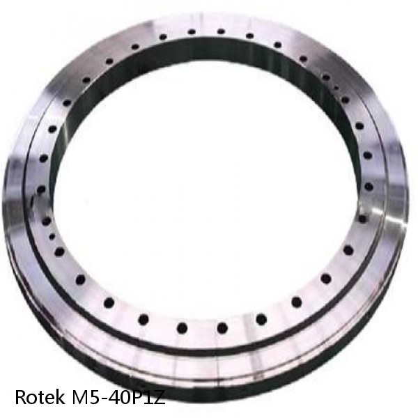 M5-40P1Z Rotek Slewing Ring Bearings #1 small image