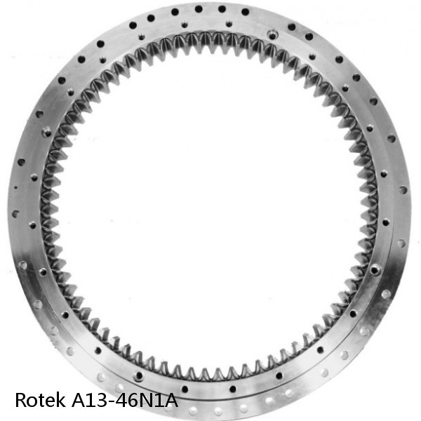 A13-46N1A Rotek Slewing Ring Bearings #1 small image