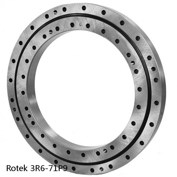 3R6-71P9 Rotek Slewing Ring Bearings #1 small image