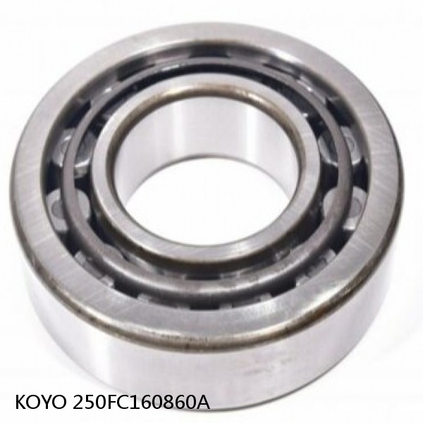 250FC160860A KOYO Four-row cylindrical roller bearings #1 small image