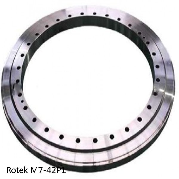 M7-42P1 Rotek Slewing Ring Bearings #1 small image