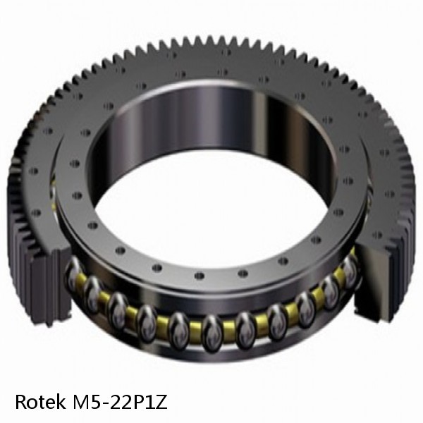 M5-22P1Z Rotek Slewing Ring Bearings #1 small image