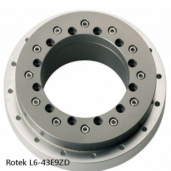 L6-43E9ZD Rotek Slewing Ring Bearings #1 image