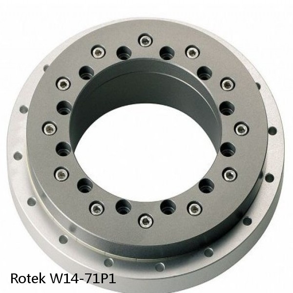 W14-71P1 Rotek Slewing Ring Bearings #1 image