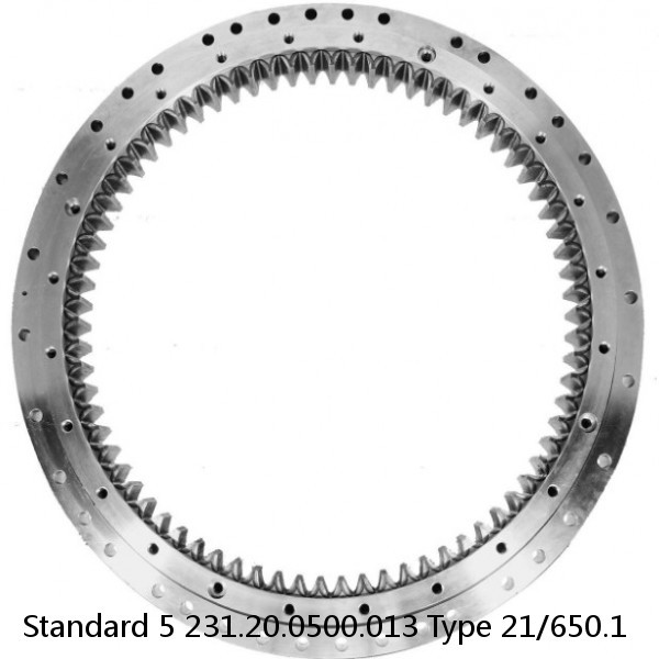 231.20.0500.013 Type 21/650.1 Standard 5 Slewing Ring Bearings #1 image