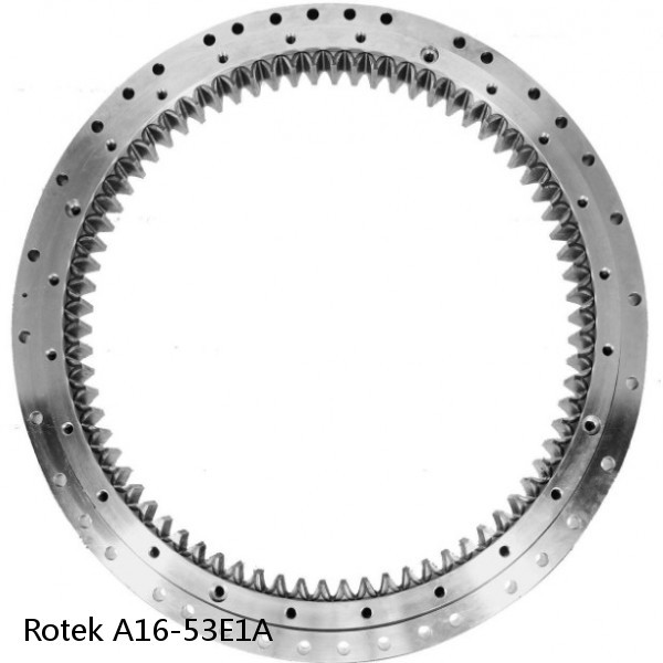 A16-53E1A Rotek Slewing Ring Bearings #1 image