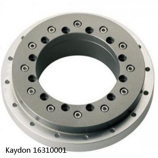 16310001 Kaydon Slewing Ring Bearings #1 image