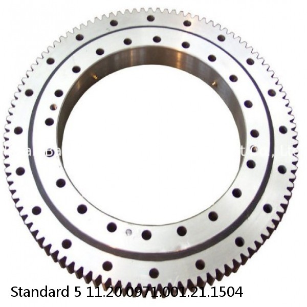 11.20.0971.001.21.1504 Standard 5 Slewing Ring Bearings #1 image