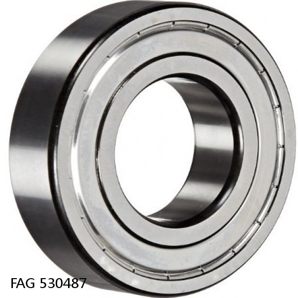 530487 FAG Cylindrical Roller Bearings #1 image