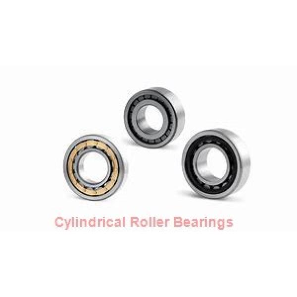 85 mm x 150 mm x 36 mm  SKF NU 2217 ECML  Cylindrical Roller Bearings #1 image